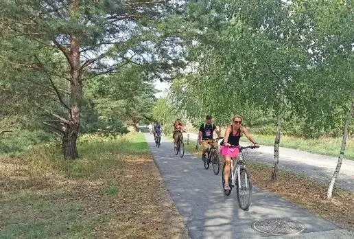 Milicz rowerem: Odkryj Dolinę Baryczy! Trasy, atrakcje, porady