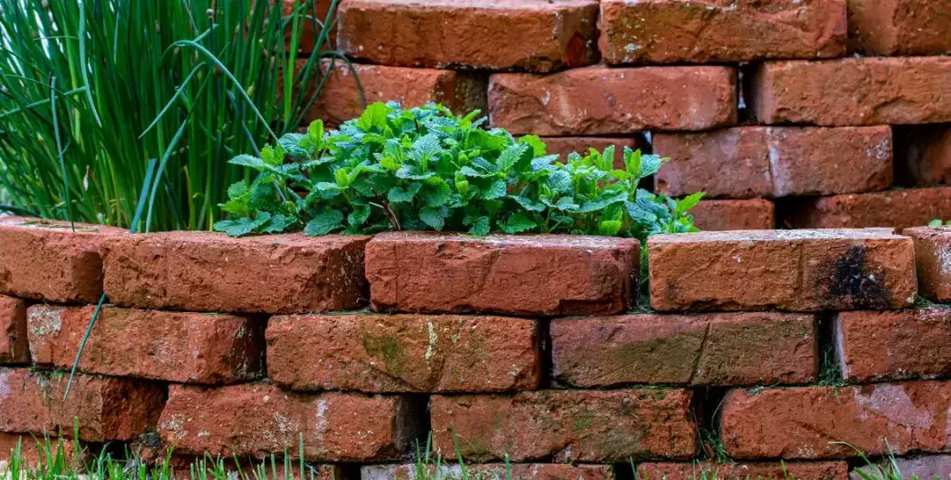 Co można zrobić z cegły w ogrodzie? Ciekawe pomysły na aranżację