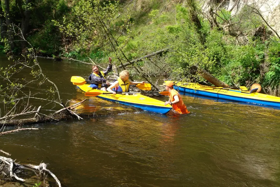 Spływ kajakowy Rospuda - najlepsze trasy i porady dla początkujących