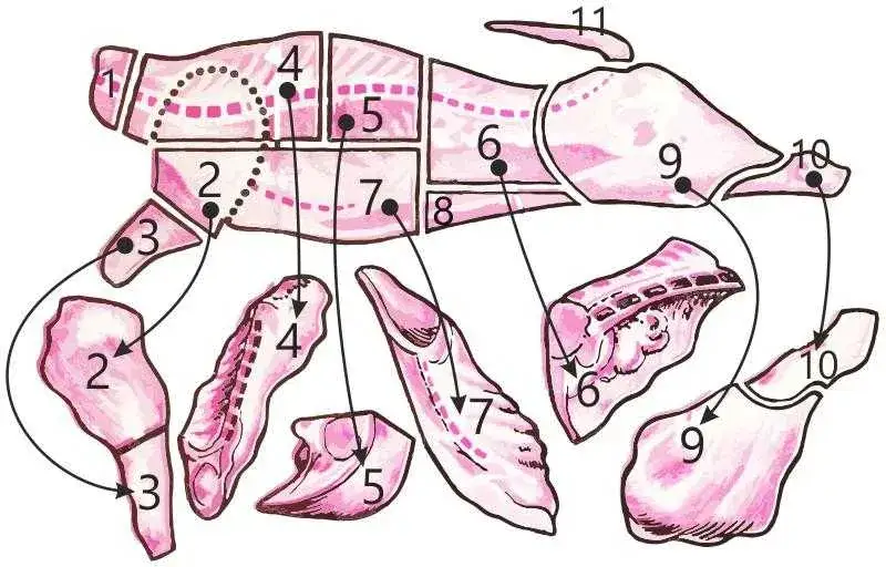 Rozbiór wieprzowiny: Sekrety skutecznego podziału mięsa i technik