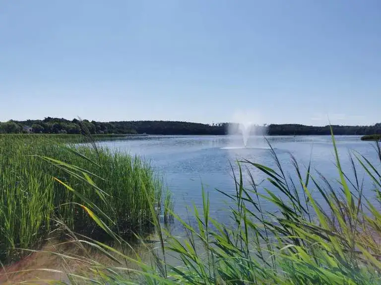 Jezioro Barlineckie: ukryte skarby, wędkarstwo i piękne szlaki