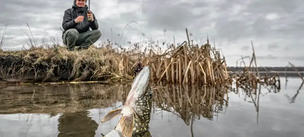 Pozwolenie na wędkowanie w jeziorze Wielewskim – co musisz wiedzieć