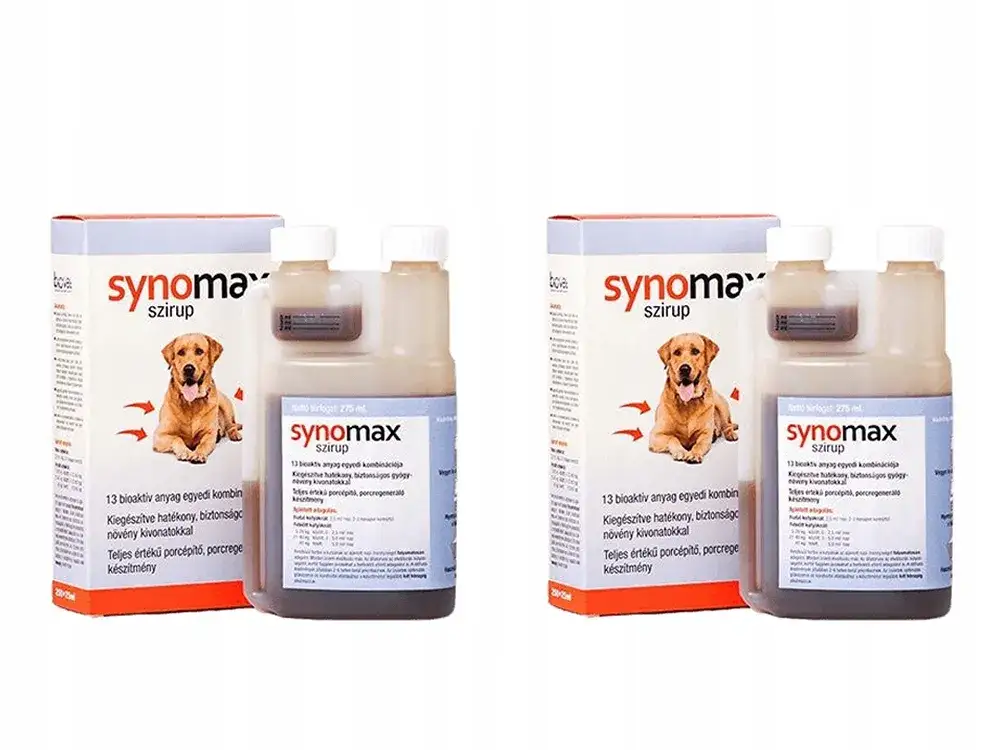 Jaki syrop na kaszel dla psa? Bezpieczne opcje i ostrzeżenia