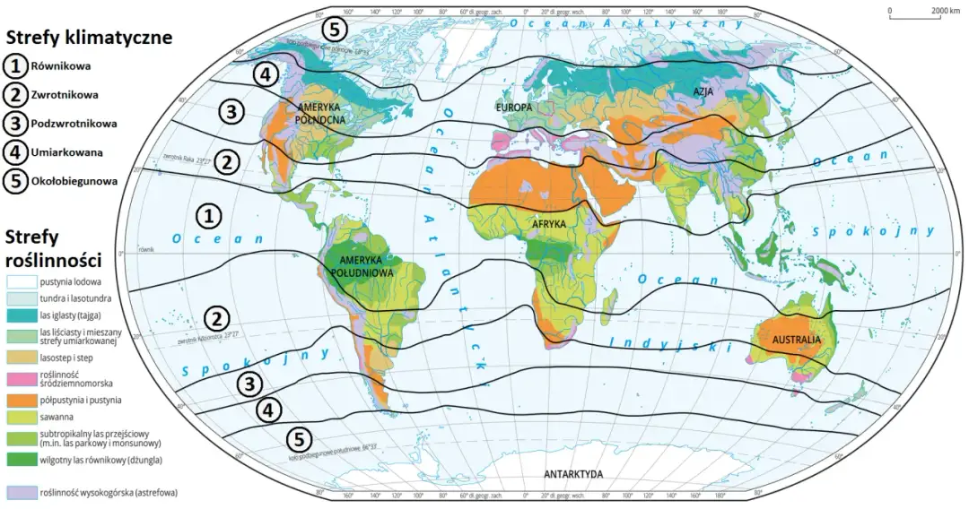 Czy klimat górski występuje we wszystkich strefach klimatycznych? Odpowiedź