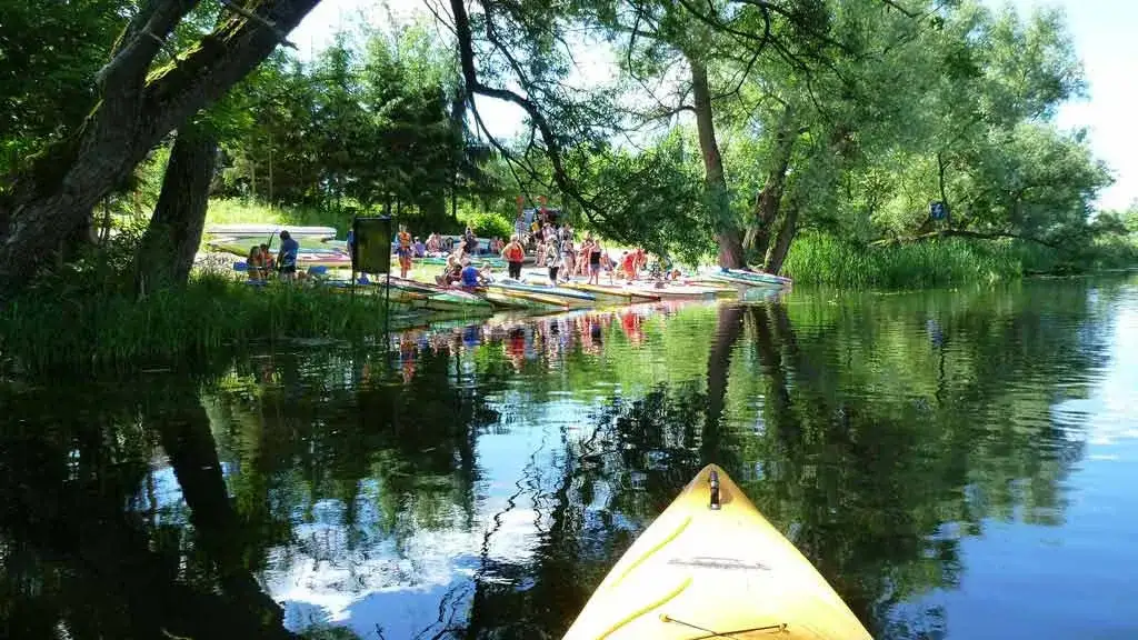 Spływy kajakowe Giżycko: Trasy, Ceny i Praktyczne Porady