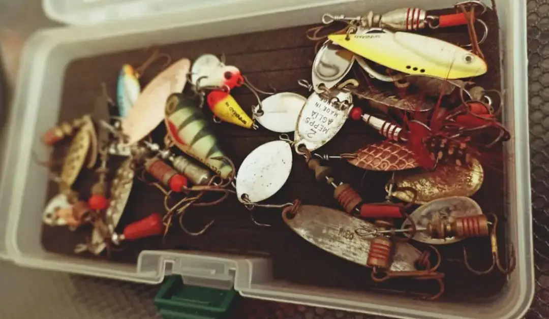 Najlepsze przynęty na okonia: przewodnik po wyborze i łowieniu