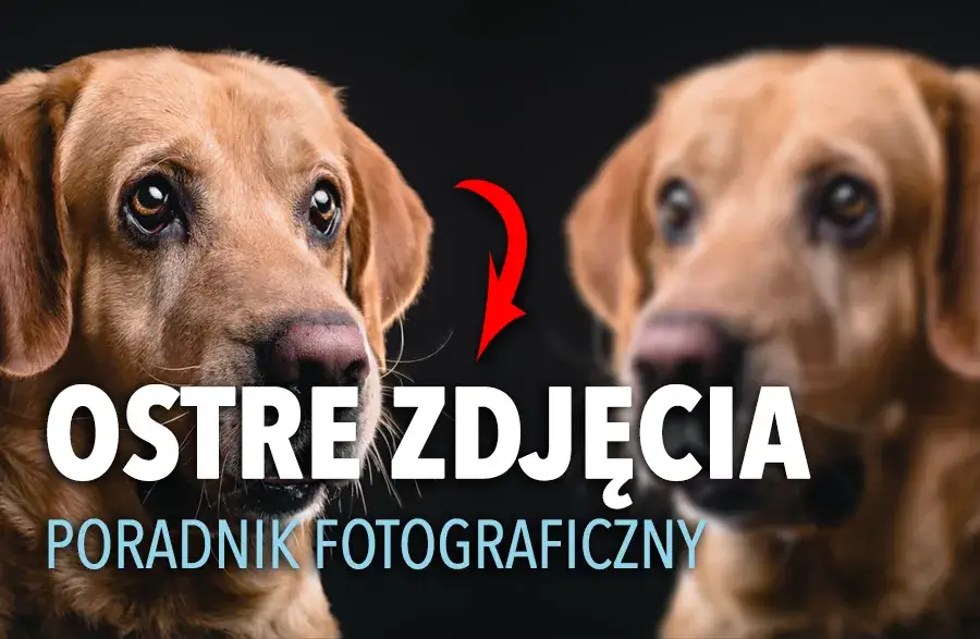 Ostre zdjęcia: Jak uzyskać idealną ostrość krok po kroku?