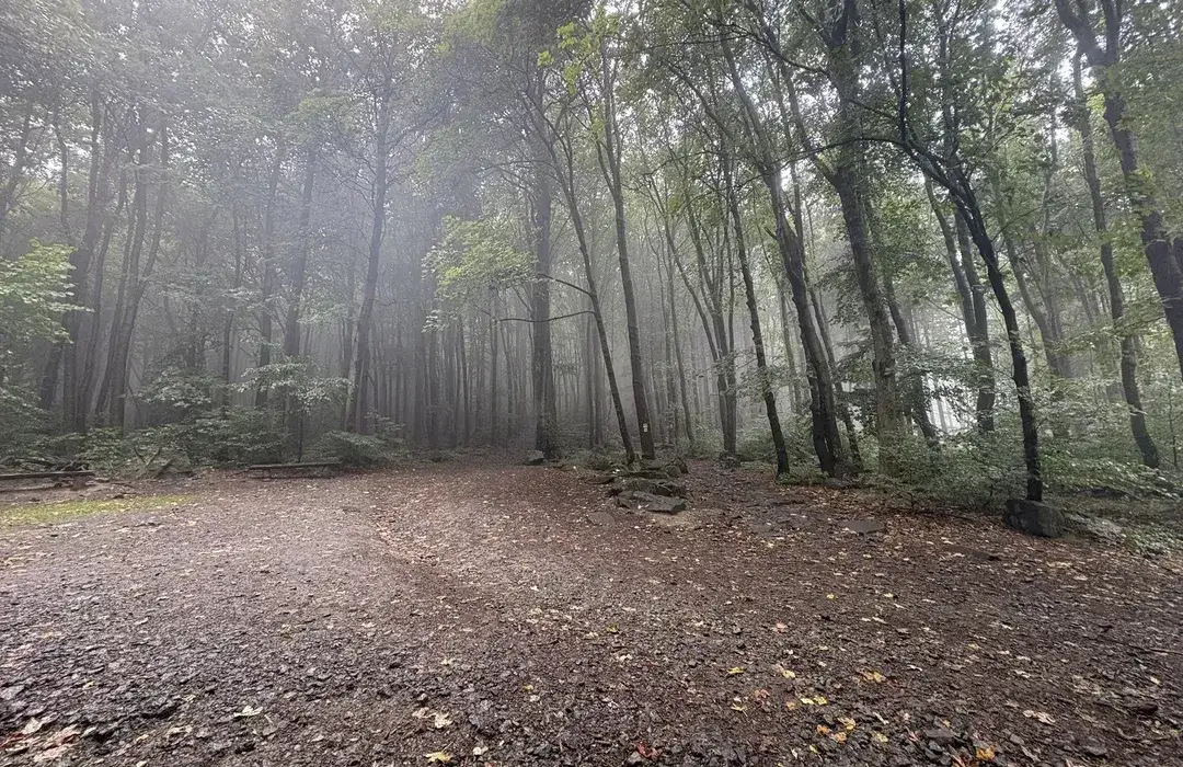 Najlepsze trasy rowerowe w Sobótce - odkryj ukryte szlaki i atrakcje