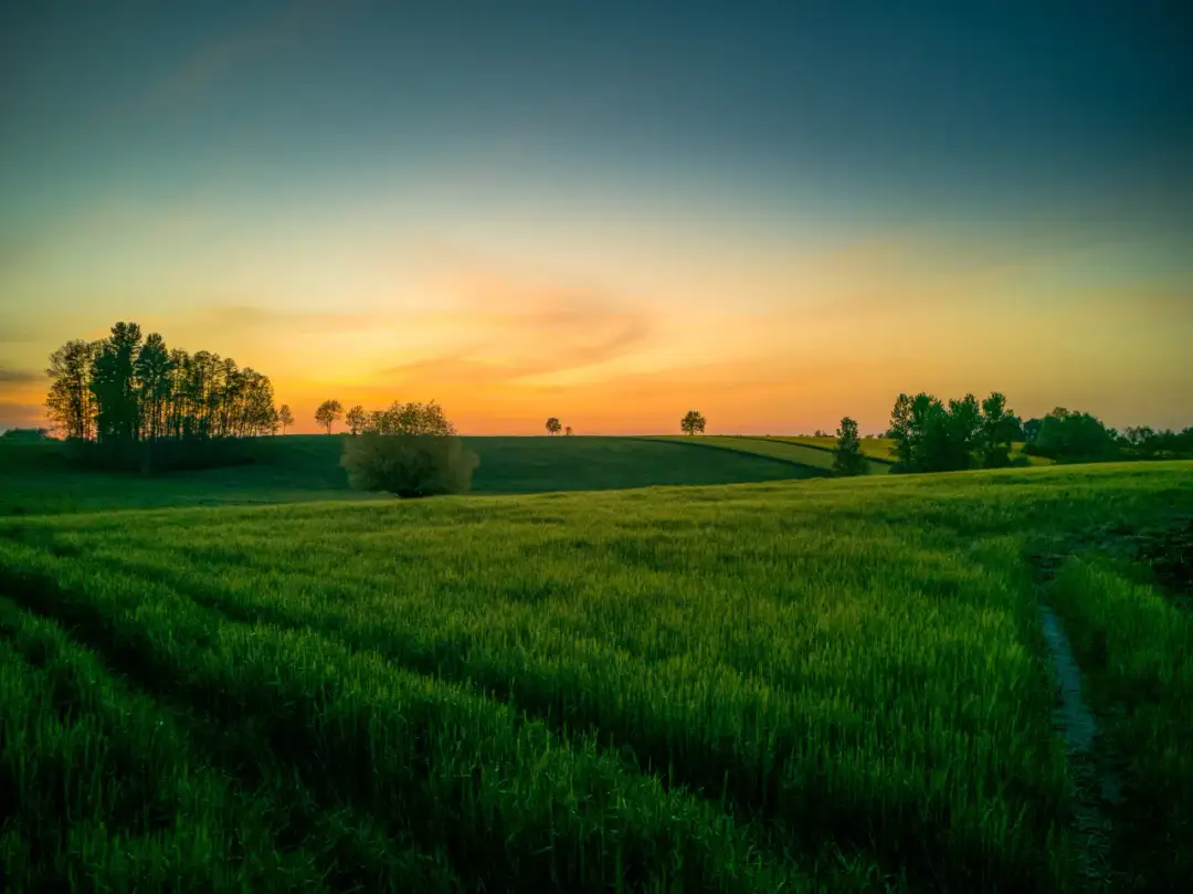 Bliskość przyrody a dobre samopoczucie – co mówi doświadczenie?
