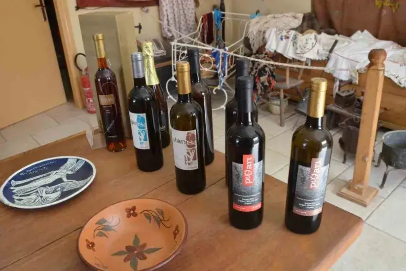 Wino z Ikarii: Gdzie kupić? Sprawdzone tropy i alternatywy