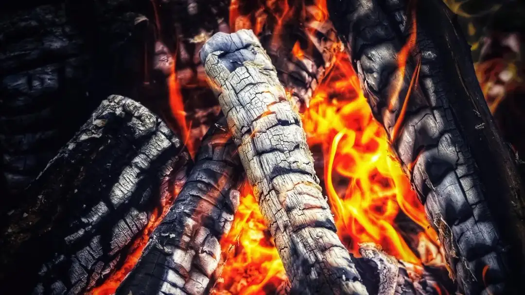 Czy w lesie można palić ognisko? Przepisy i kary, które musisz znać