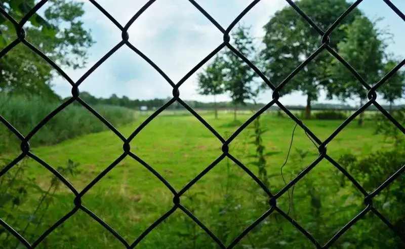 Ile kosztuje ogrodzenie z siatki? Poznaj ukryte koszty i opcje