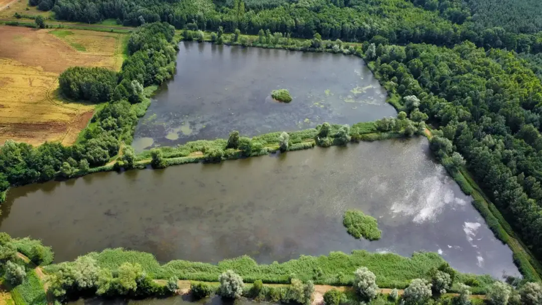 Zalew Karczunek zdjęcia łowiska – odkryj urok wędkarskiego raju