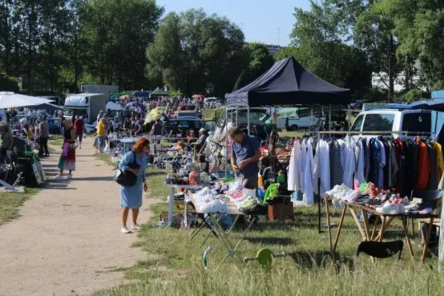 Giełda Koszalin kiedy otwarta - poznaj godziny i uniknij rozczarowania