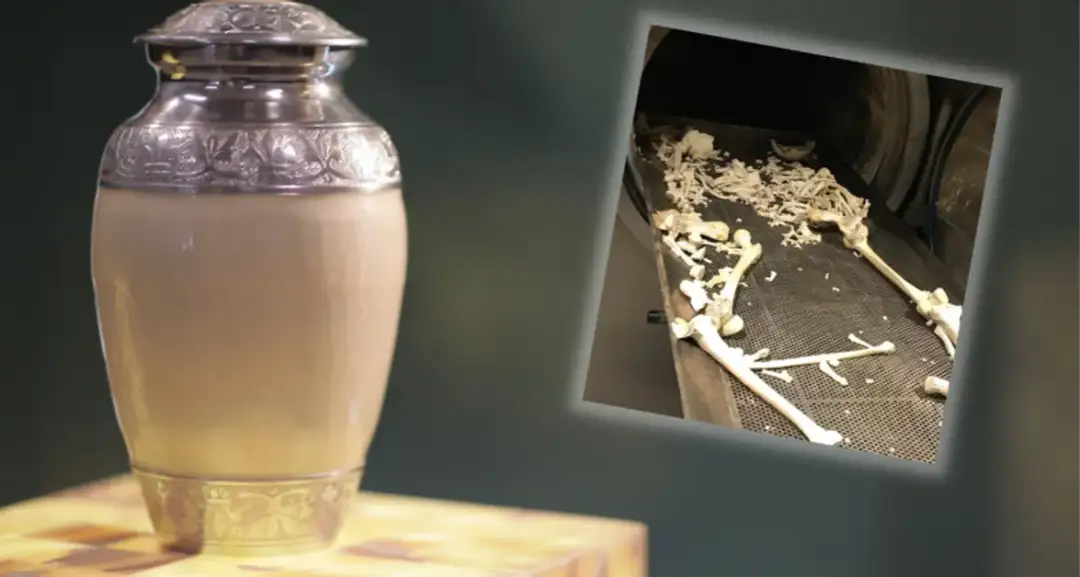 Ile jest prochów po kremacji? Zaskakujące fakty, które musisz znać