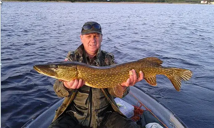 Wędkowanie na jeziorze Kłodno - najlepsze gatunki ryb i porady