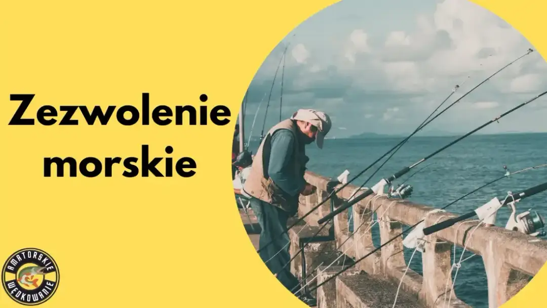 Jak legalnie wędkować na Jeziorze Żywieckim? Ceny i zasady 2026