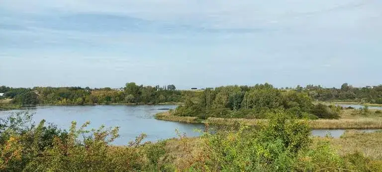 Najlepsze atrakcje w Swarzędzu, które musisz odwiedzić w tym roku
