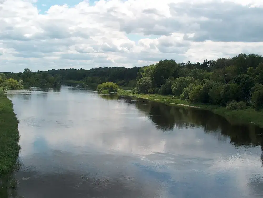 Przez jakie miasta przepływa rzeka Narew? Odkryj fascynujące miejsca
