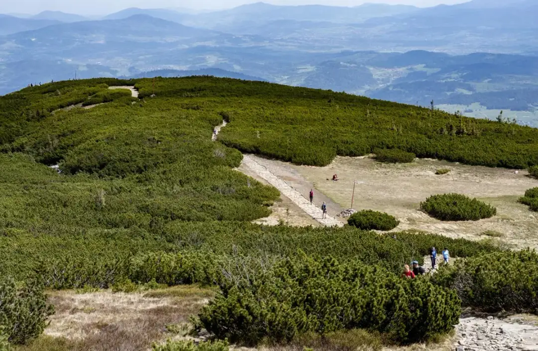 Który szlak na Babią Górę wybrać? Przewodnik niezdecydowanych