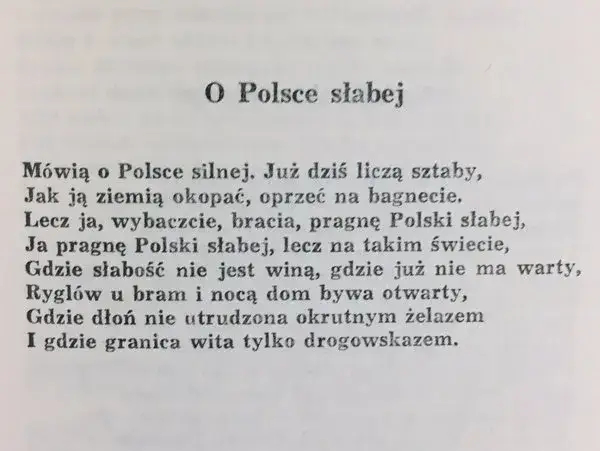 Wiersz Polska Antoniego Słonimskiego: Głębia metafor i emocji