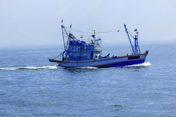 Kiedy można łowić dorsza na Bałtyku? Sprawdź ważne zasady i terminy