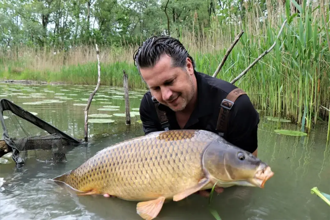 Jak łowić na spławik? Poradnik: złap więcej ryb!