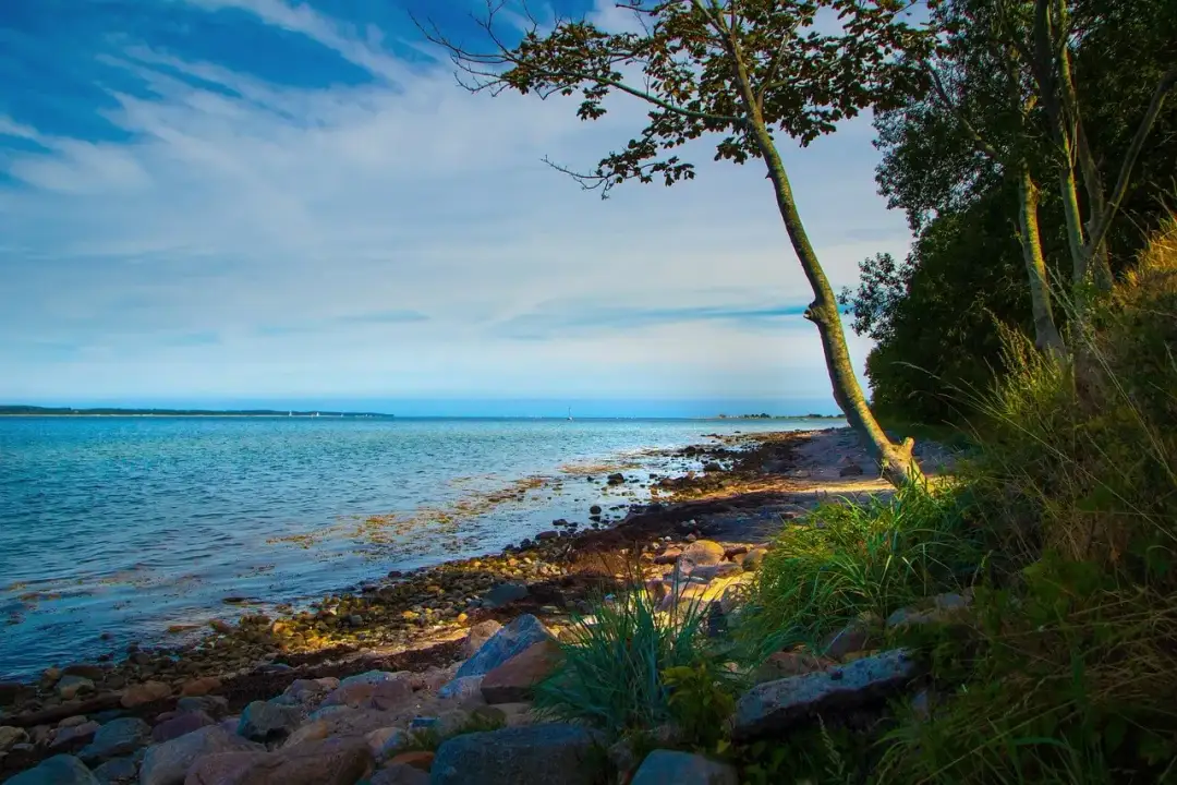 Krynica Morska: Co robić? Odkryj TOP atrakcje i zaplanuj urlop!