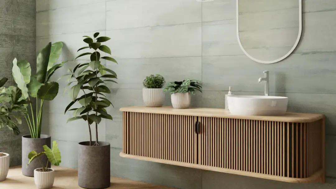 Jakie rośliny do łazienki bez okna przetrwają w trudnych warunkach?