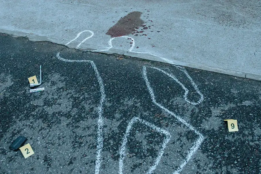 Co robić po kryminalistyce? Zawody, perspektywy i dalsze możliwości rozwoju