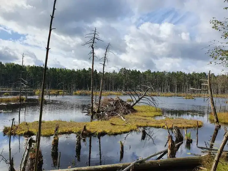 Otwock atrakcje: odkryj najpiękniejsze miejsca i ukryte skarby
