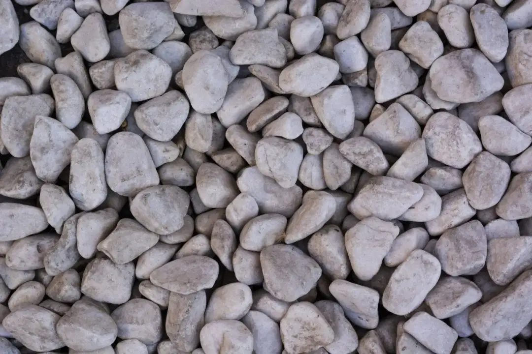 Czyste kamienie ogrodowe: Jak usunąć mech i brud? Poradnik