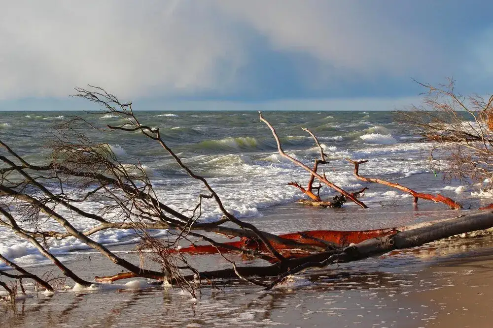 Bałtyk ile stopni - aktualna temperatura wody i co musisz wiedzieć