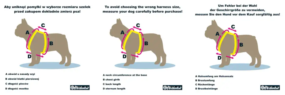 Jak dobrać szelki dla psa? Poznaj typy i uniknij błędów