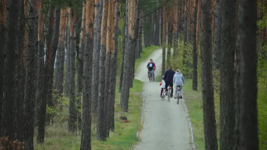 Najlepsze trasy rowerowe w Toruniu, które musisz poznać