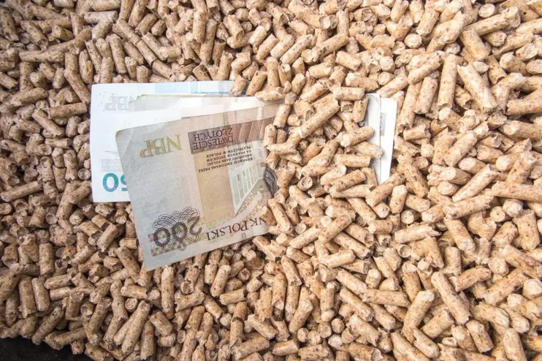 Czy ceny pelletu spadną? Prognozy i analiza rynku opału