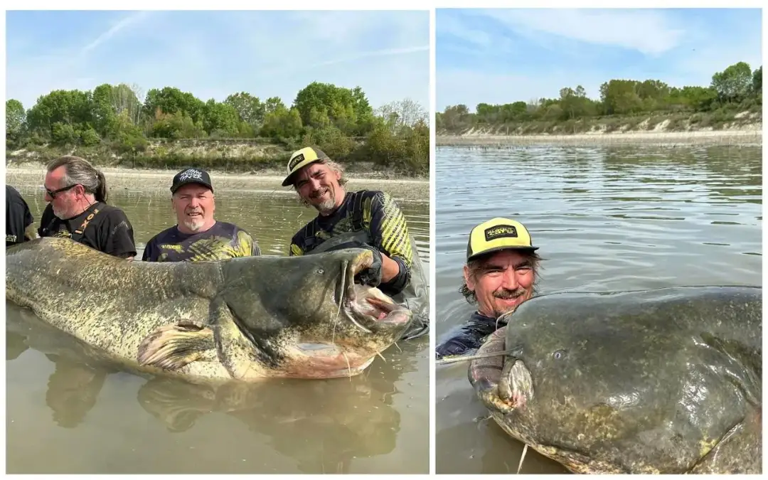 Największe przyrodzenie: Twardy rekordzista w typie gigant