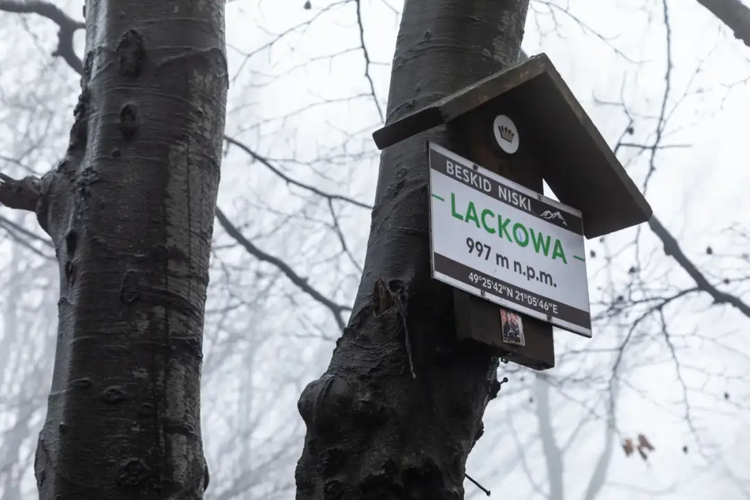 Lackowa ściana płaczu - Czy jest się czego obawiać? Przewodnik