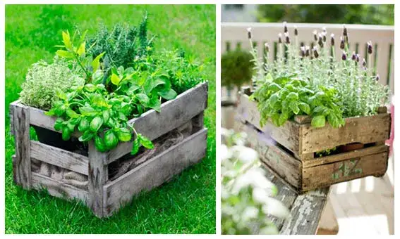 Domowy ogród: jak założyć i pielęgnować zielony azyl przy domu