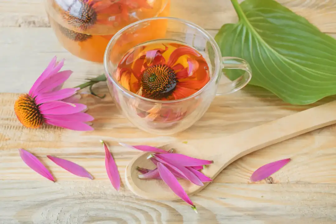 Jaka herbata na gorączkę? Sprawdzone domowe napary na ulgę