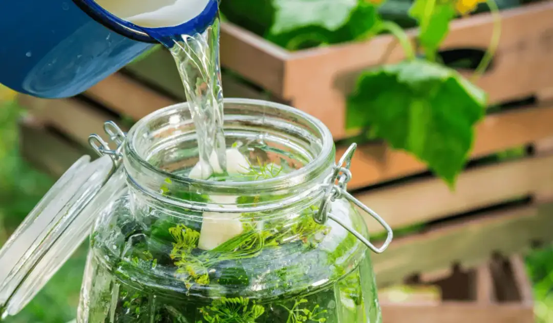 Ogórki kiszone: zimna czy gorąca woda? Odkryj najlepszą metodę kiszenia