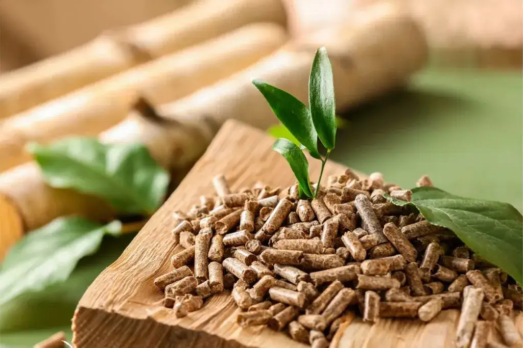 Pellet Barlinek czy Olczyk – który wybór zapewni lepsze ogrzewanie?