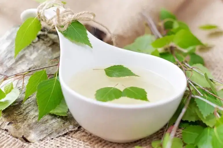 Zioła na układ moczowy: Top 5 dla zdrowia nerek i pęcherza