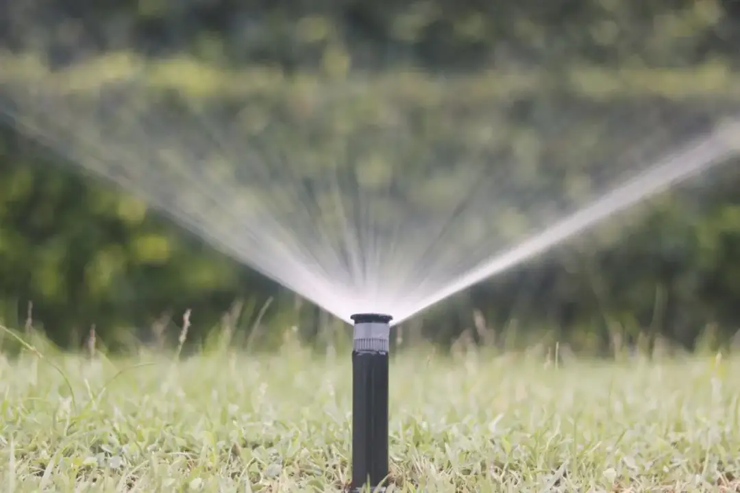 Jaki zraszacz polowy wybrać? Typy, parametry i uniknij błędów