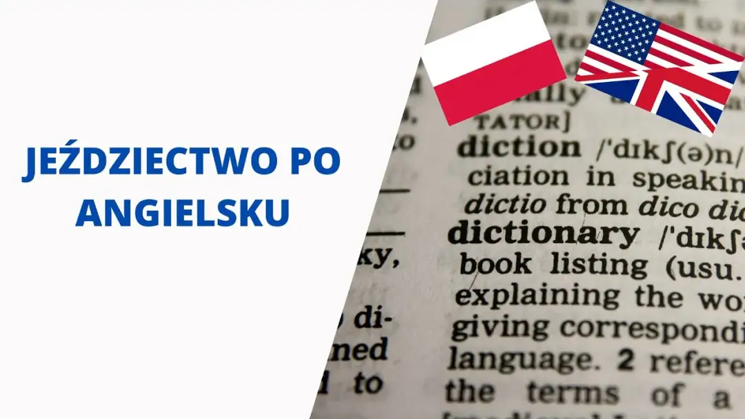Jeździectwo po angielsku – kluczowe terminy i tłumaczenia, które musisz znać