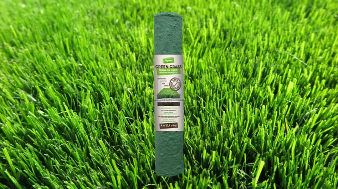 Ile nasion trawy na m²? Precyzyjny poradnik dla ogrodnika