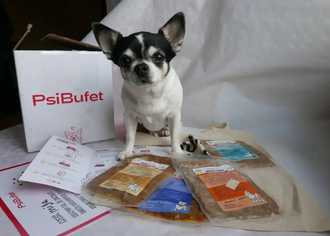 Jak przestawić psa na karmę wysokomięsną bez problemów?