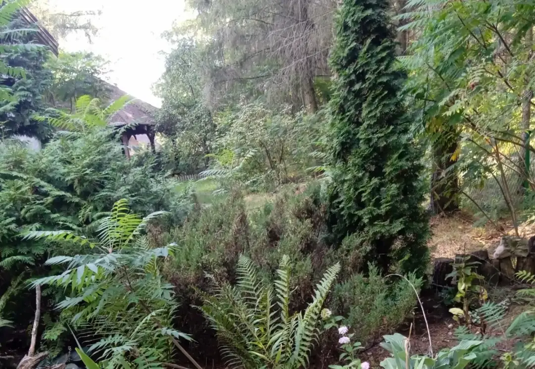 Zatoka Wilków - idealne miejsce na agroturystykę w Makosiejach