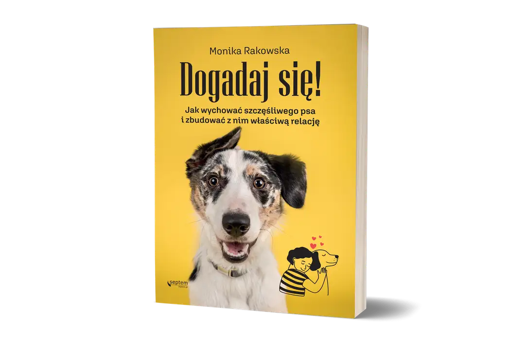 Niezależność psa pierwotnego: Poradnik wychowania bez frustracji