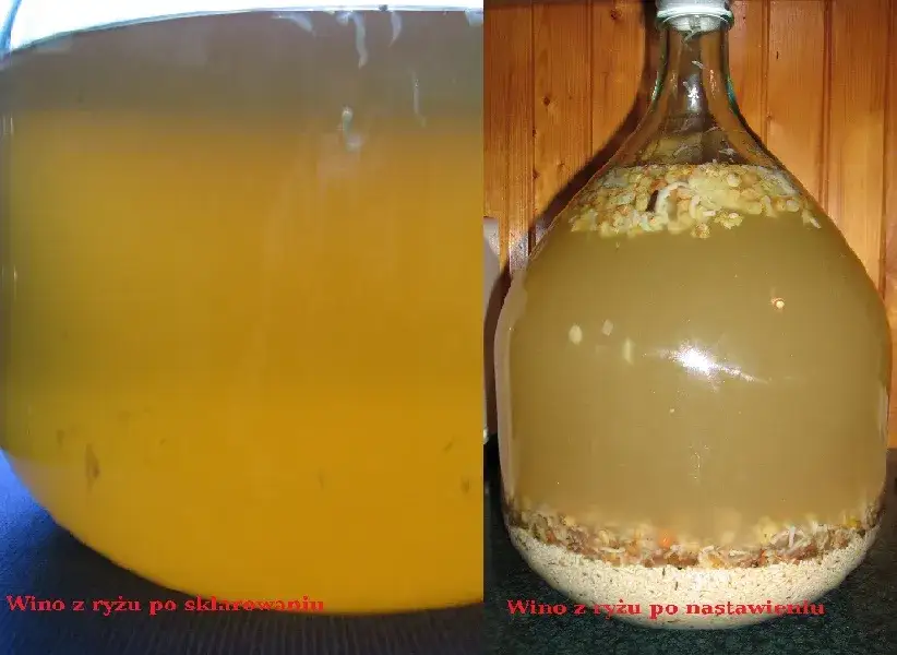 Wino ryżowe: przepis na domowe wino z ryżu